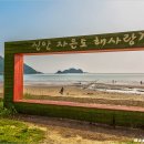 해송 - 보령시 해수욕장6길 28 | 해송
