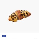 이디야세종 이미지