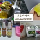 선화농장 이미지