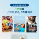 크린독 이미지