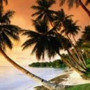 팜비치모텔 이미지