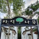 자작나무 펜션 이미지