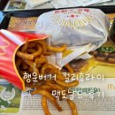 행운 | 맥도날드 행운버거 후기｜2026 판매기간 &amp; 컬리후라이 단품 정보 정리