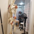 혜은농장 이미지