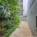 적십자병원 앞 | [서울] 헌혈의집 서울적십자병원센터 - 57회 후기 / &#39;25.07.13.
