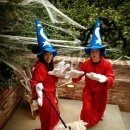 도그소사이어티 이미지