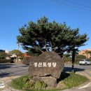 고성성당 버스정류장 이미지