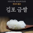 쌀 이미지
