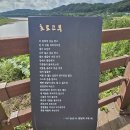 연천교통 | [힐링 여행7] 연천 호로고루 해바라기 천국, 하루로 충분한 힐링