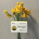 카이스트 약국 | 부모님 치매 예방 영양제 추천, 트루랩스 메모로젠 내돈내산 후기 (기억력 개선 인지능력 영양제)