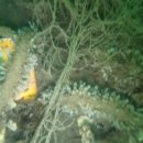 진목마을 이미지