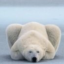 (주)엠퍼니 이미지