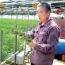 백마농장3 이미지