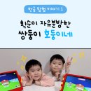 쌍둥이 호둥이네 소중한글 어플 후기 : 한글 획순 학습지 공부 고민