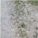 미라클입시학원 이미지