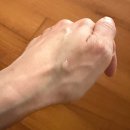 까멜리아네일 | 샤넬 르 윌 까멜리아 솔직 후기 : 입술이랑 손끝까지 한 번에 케어하기! 🌸