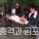 도시어부낚시 Daum카페