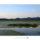 우포늪 광장 이미지