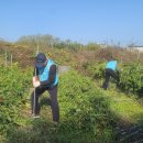 문백면행정복지센터 이미지