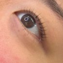 주부토로81번길 | 💖 부평시장 라블링 속눈썹 펌 후기 👀 내 눈에 꼭 맞는 인생 컬 찾았어요✨