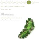 담양 죽향컨트리클럽 | [죽향CC] 두번째 방문 ㅣ 야간 18홀 라운딩 솔직후기 (코스별 팁 포함)