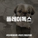 플레이독스 | [건대이색데이트] 보드게임&amp;애견카페, 플레이독스 내돈내산 후기