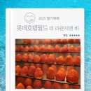 더라운지앤드바 | 2025 딸기뷔페 롯데호텔월드 더 라운지앤 바 예약 딸기케이크 내돈내산 후기