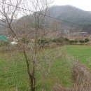 석구농장 Daum카페