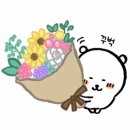 돈키호텔2 | 6박7일 오사카 여행에서 선택한 가성비 숙소 공개✈️ |난바에서 1정거장 에어비앤비🏠 돈키하우스 후기