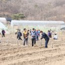 월암농장 이미지