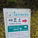 호남목장 | 전남 화순 무등산 양떼목장 호남의 알프스에서 먹이주기 체험