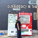 기념비 | "이즈하라항 도보 15분" 대마도 쓰시마섬 가볼만한 곳, 덕혜옹주 결혼 붕축 기념비 후기