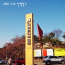 언니네꽃방 네이버블로그