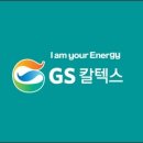 금성엘리베이터(주) 이미지