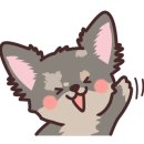 멋진강아지 이미지