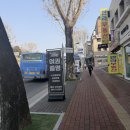 동구청 횡단보도 앞 이미지