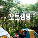 가을캠핑, 자연과 숲속의 하루 - 양산오토캠핑장 | 캠핑후기 이미지
