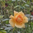 서울에너지드림센터 화장실 | 한가한 가을에 방문한 서울에너지 드림센터 좋아요