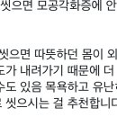 아ㅅㅂ몸이 가려운 이유가 있었네 이미지