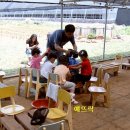 하나둘셋유치원 이미지