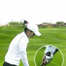 시너지골프 이미지