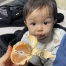 자담교동신음점 이미지