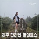 영실물 | 제주 한라산 영실탐방로 추천 ♡ 4시간이면 충분한 초보 등산 코스 후기