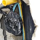 우성세탁 이미지