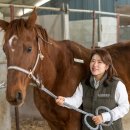 유-헬스케어 이미지