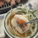 하이돈스