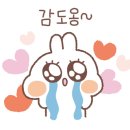 플레르망고 이미지