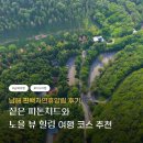 [특별 기획] 남해 편백자연휴양림 후기, 짙은 피톤치드와 노을 뷰 힐링 여행 코스 추천