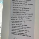 멍뭉몽 이미지