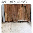 콧구멍PC방 이미지